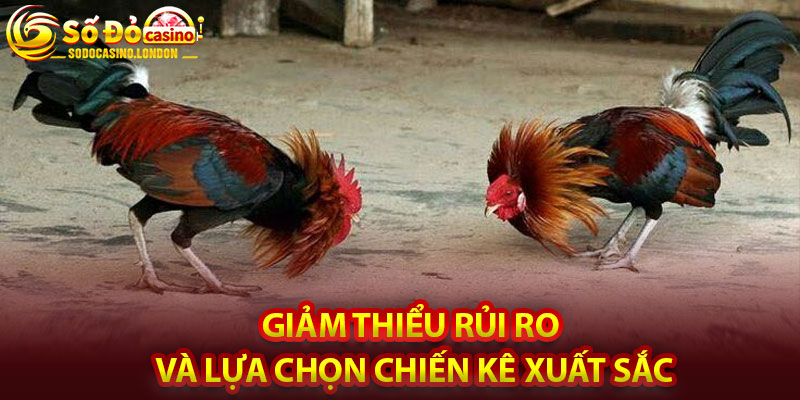 Giảm thiểu rủi ro và lựa chọn chiến kê xuất sắc