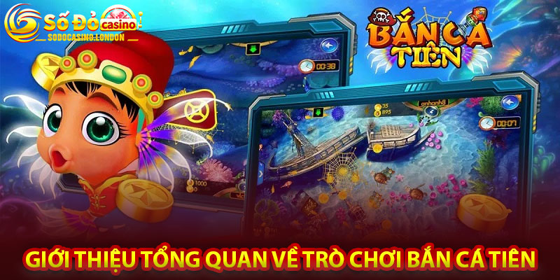 Giới Thiệu Tổng Quan Về Trò Chơi Bắn Cá Tiên