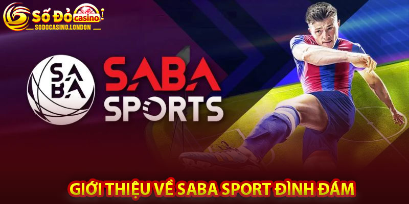 Giới Thiệu Về SABA Sport Đình Đám