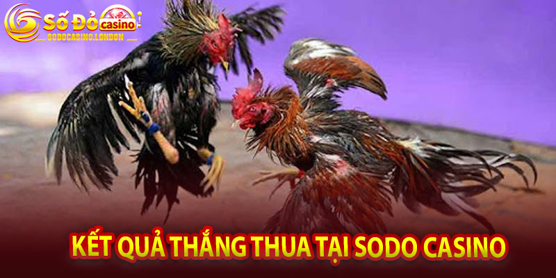 Kết quả thắng thua tại Sodo Casino