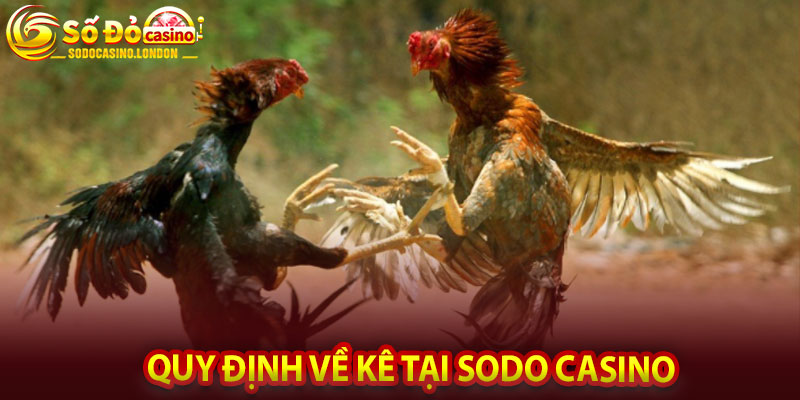 Quy định về kê tại Sodo Casino