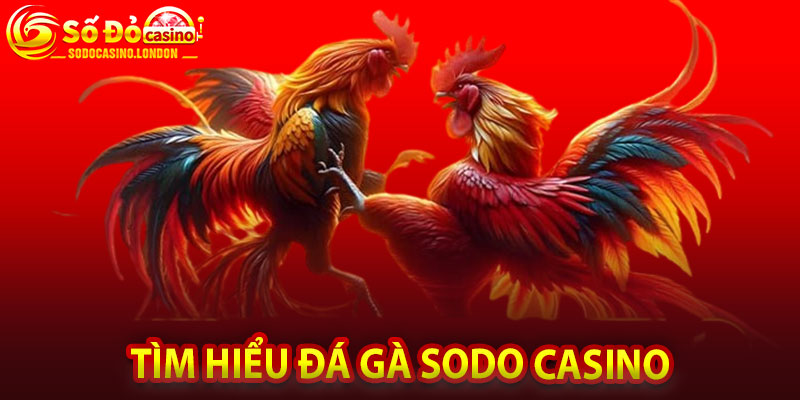 Tìm Hiểu Đá Gà Sodo Casino