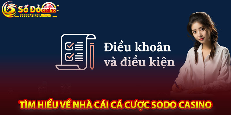 Tìm Hiểu Về Nhà Cái Cá Cược Sodo Casino