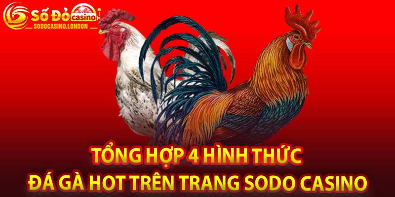 Tổng Hợp 4 Hình Thức Đá Gà Hot Trên Trang Sodo Casino