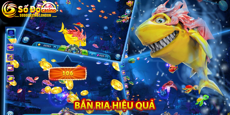 Bắn ria hiệu quả