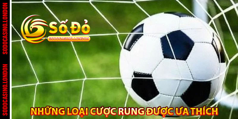 Những loại cược rung được ưa thích 