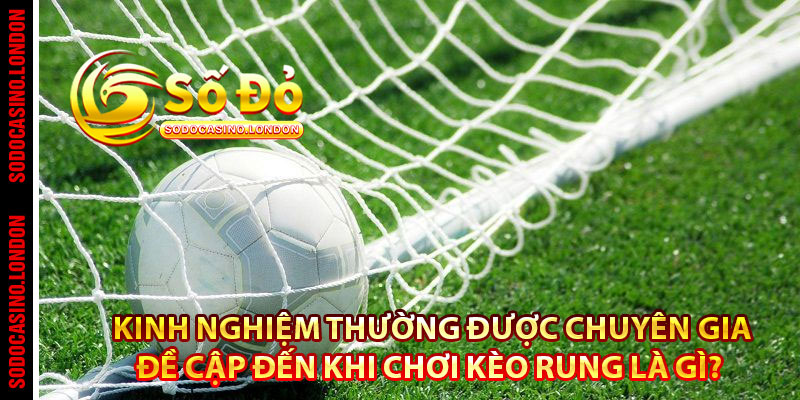 Kinh nghiệm thường được chuyên gia đề cập đến khi chơi kèo rung là gì? 