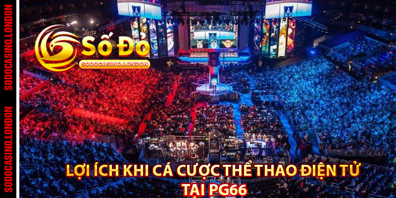 Lợi ích khi cá cược thể thao điện tử tại PG66